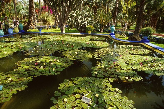 Half-Day Private Tour to Marrakech Gardens with Hotel Pickup - FAQ