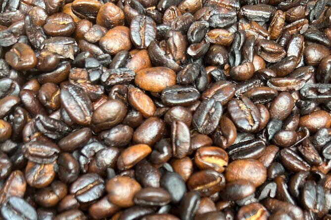 Half-Day Private Tour to Materuni Waterfalls and Coffee excursion - Who Should Consider This Tour?