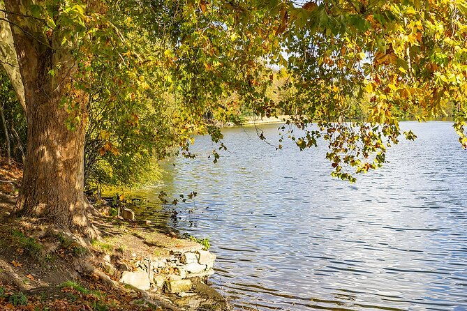 half-day-private-tour-vincent-van-gogh-in-auvers-sur-oise