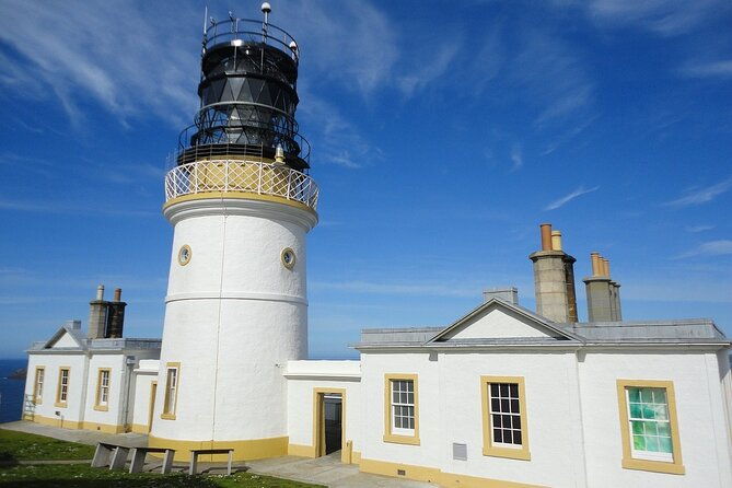 half-day-private-tour-with-puffins-ponies-and-past-shetland
