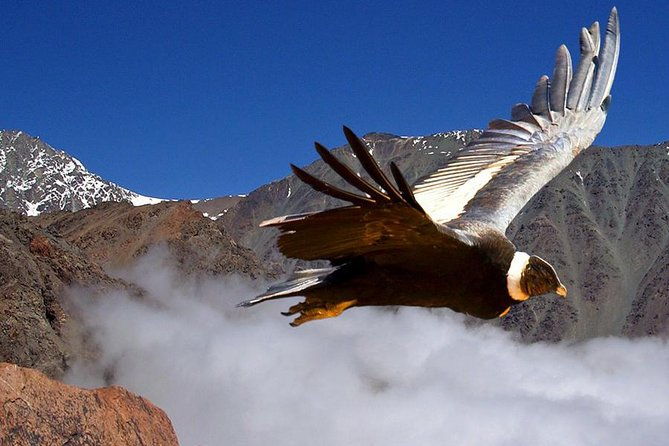 half-day-private-trip-to-valle-nevado-with-cheese-and-wine-carbon-neutral-trip