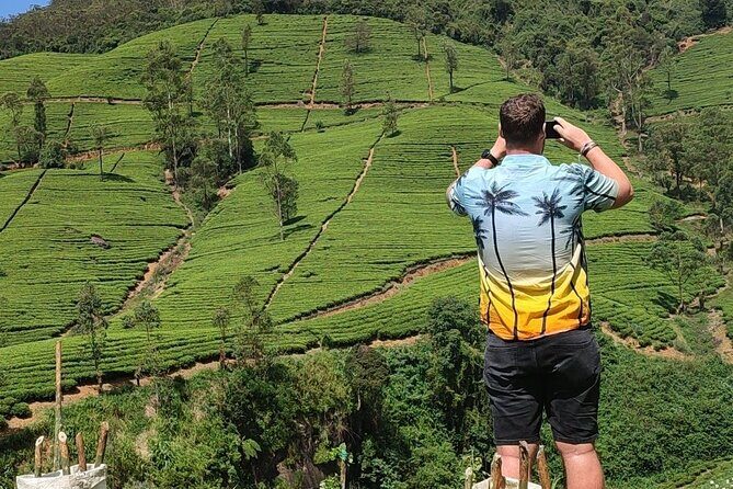 Half-Day Private Trip to Waterfalls and Tea Factory - Final Thoughts: Who Will Love This Tour?