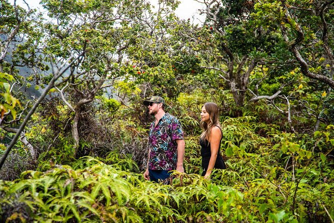 half-day-private-vip-road-to-hana-tour
