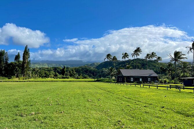 half-day-private-vip-road-to-hana-tour