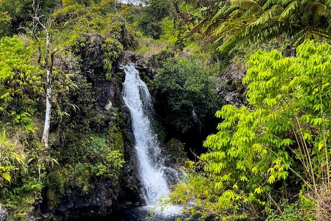 half-day-private-vip-road-to-hana-tour
