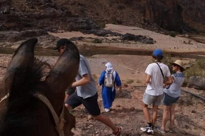Half Day Private Walking Tour in Sidiflah Gorges - An Overview of the Tour Experience