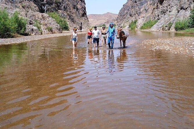Half Day Private Walking Tour in Sidiflah Gorges - Who Might Want to Skip It?