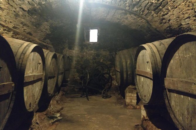 Half Day Private Wine & Oil Tasting Tour near Barcelona with hotel pick up - Who Will Love This Tour?