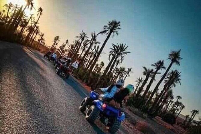 Half-Day Quad Biking and camel riding in Marrakech Palmeraie - The Sum Up