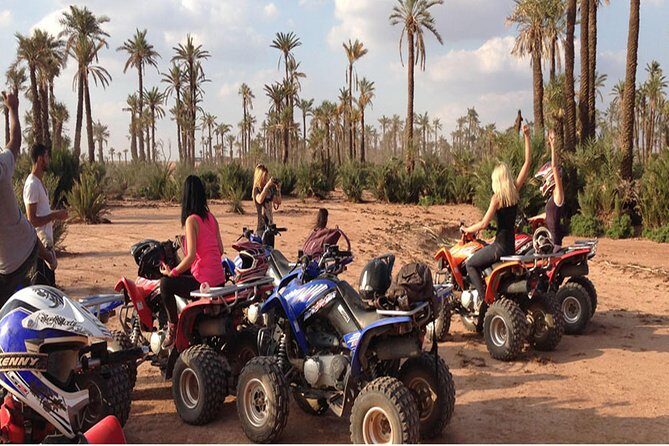 Half-Day Quad Biking in Palm Grove from Marrakech - Itinerary Deep Dive