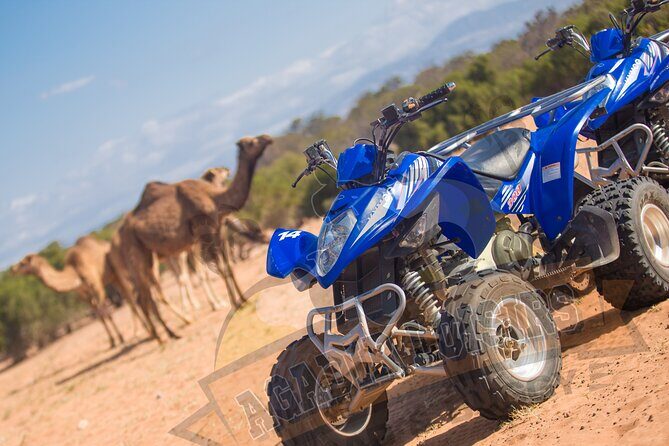 Half-day QUAD In Agadir + pick-up included from Agadir - Price and Value Breakdown