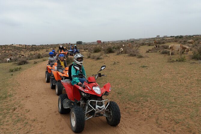 Half-day QUAD In Agadir + pick-up included from Agadir - The Sum Up