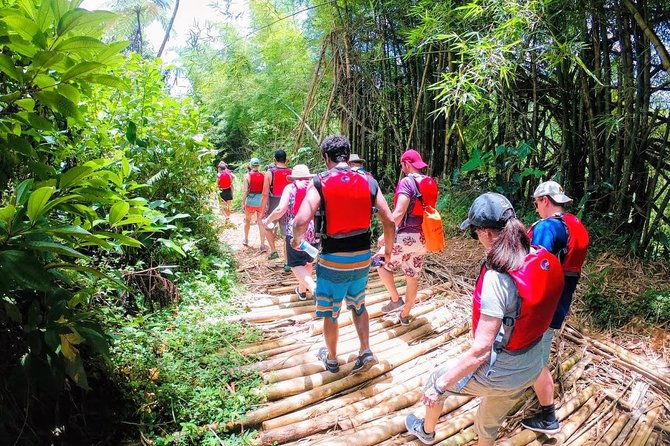 half-day-rainforest-and-waterslide-adventure-with-transportation