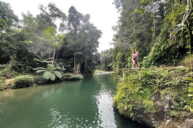 half-day-rainforest-tour-with-transport-from-san-juan