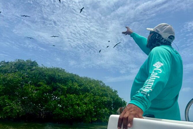 half-day-reef-snorkel-and-wildlife-tour