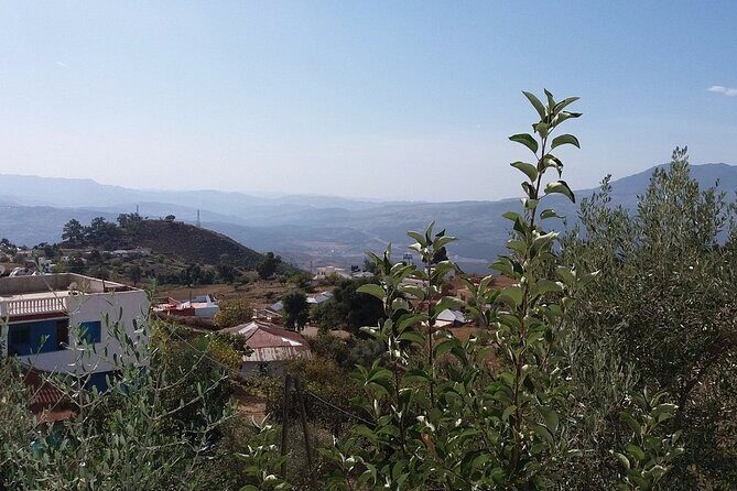 Half Day Rif valley Excursion from Chefchaouen - FAQ
