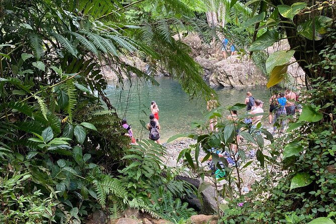 half-day-river-adventure-in-el-yunque-with-a-local