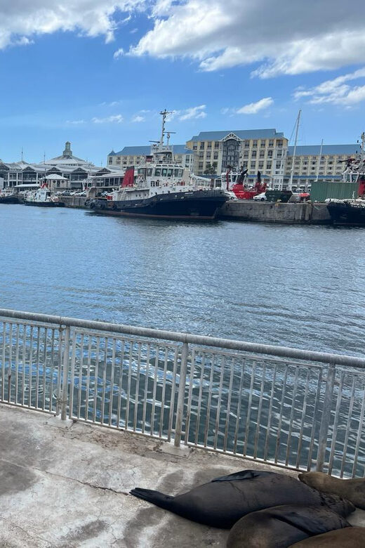 Half Day Robben Island including Tickets and Transfers Tour - Key Points