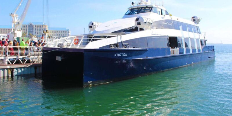 Half Day Robben Island including Tickets and Transfers Tour - Who Should Consider This Tour?