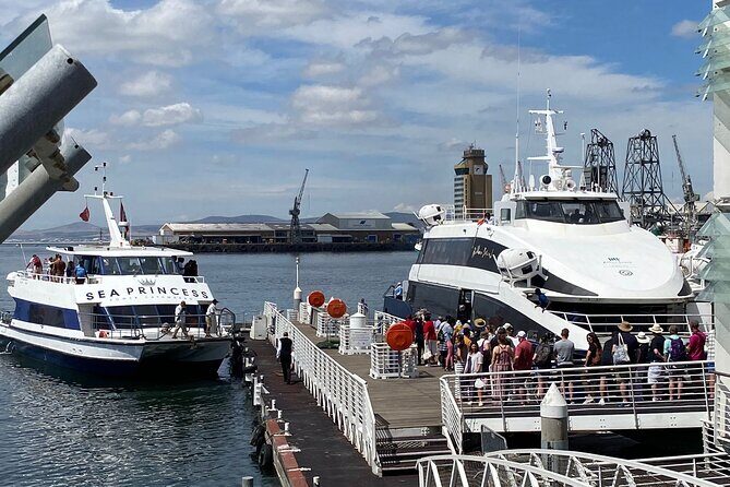 "Half-Day Robben Island Tour with Customizable Options Included - Key Points