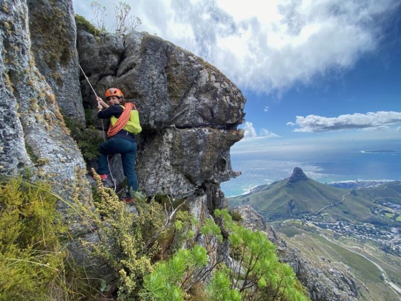 Half-Day Rock Climbing on Table Mountain - Authentic Experiences and Insights from Reviewers