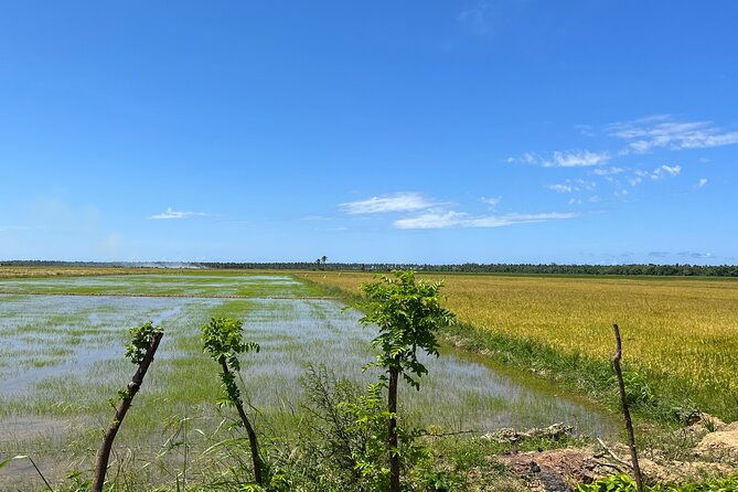 half-day-safari-and-atv-or-horses-from-punta-cana