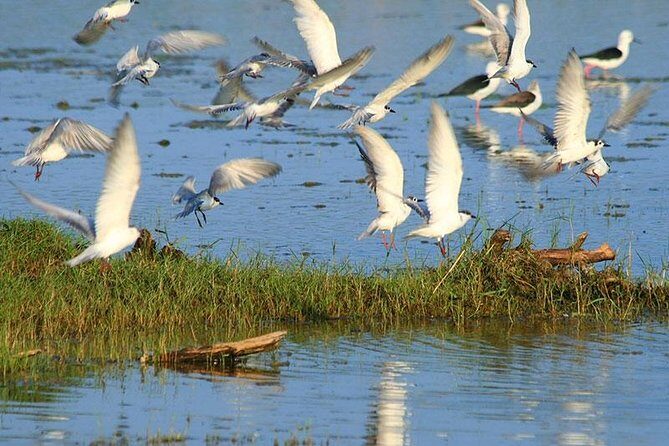 Half Day Safari at Bundala National Park - Frequently Asked Questions