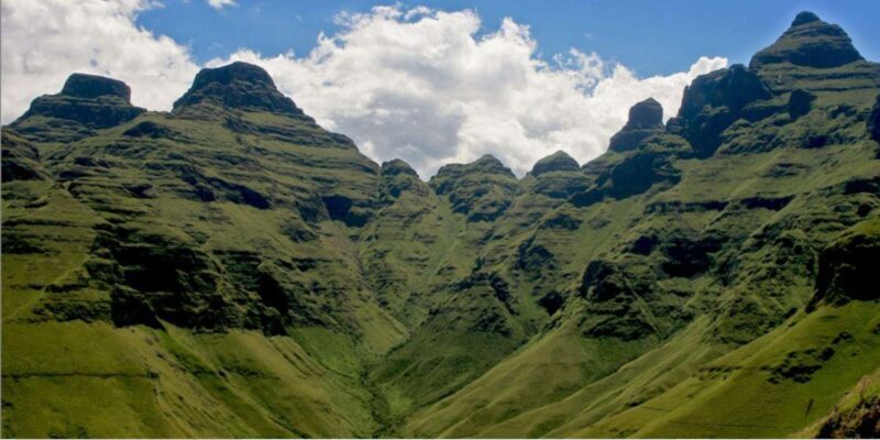 Half Day Safari from Durban - Practical Details and Tips  