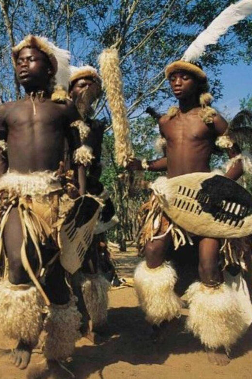 Half Day Safari from Durban - The Sum Up  
