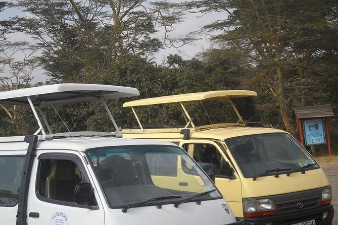Half Day :safari Game Drive At Nairobi Park/elephant Sanctuary/giraffe Centre - Final Thoughts: Who Will Love This Tour?