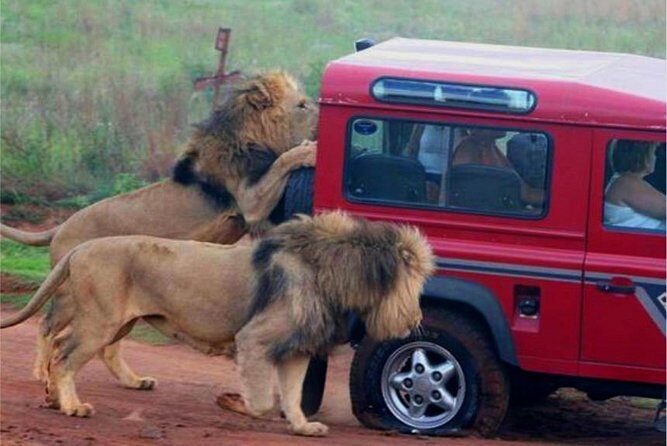 Half Day Safari Tour from Durban - Who Will Love This Tour?