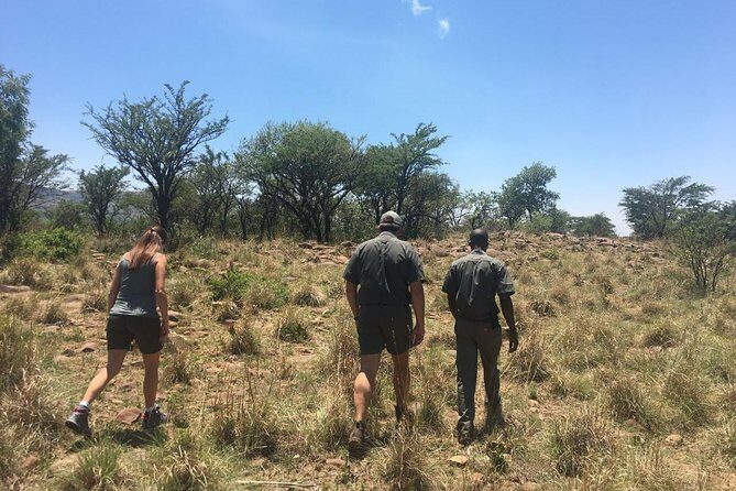 Half Day Safari Tour from Johannesburg - Key Points