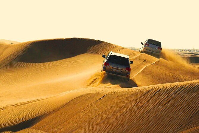 Half Day Safari Tour With Camel Ride and Sand Boarding in Doha - Key Points