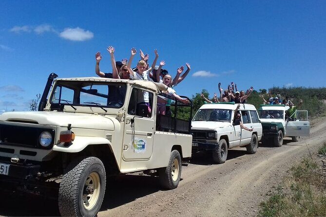 Half Day Safari Tour with Wine Tasting - Price & Value for Money