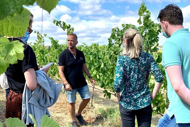Half Day Safari Tour with Wine Tasting - Frequently Asked Questions (FAQ)