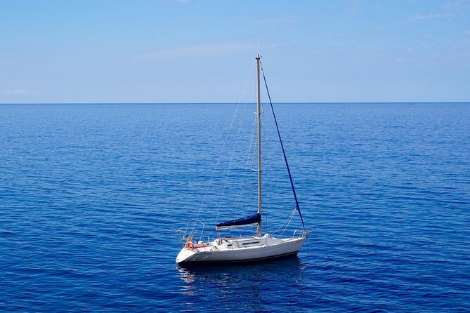 Half Day Sailing Excursion along the Coast - What Reviewers Loved Most