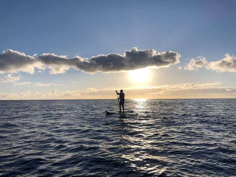 Half Day: Sailing, snorkeling and Stand up Paddle. - Introduction