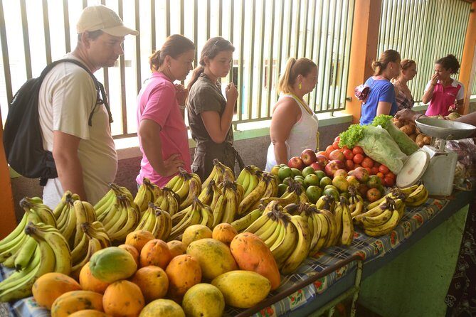Half-Day Sal Island Tour with Shark Experience from Santa Maria - FAQ