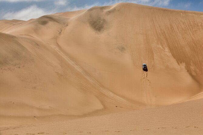 Half-Day Sandwich Harbour Tour from Walvis Bay with Lunch - What Makes This Tour Stand Out?
