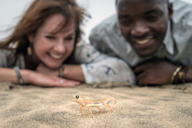 Half-Day Sandwich Harbour Tour from Walvis Bay with Lunch - The Sum Up