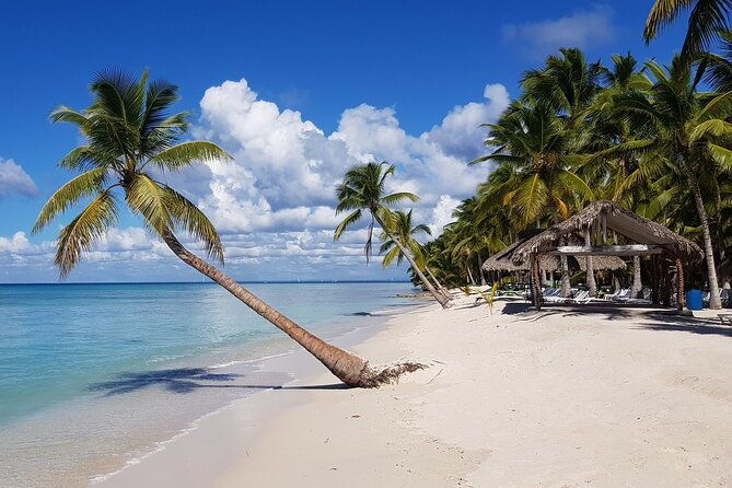 half-day-saona-island-from-la-romana-special-for-cruisers