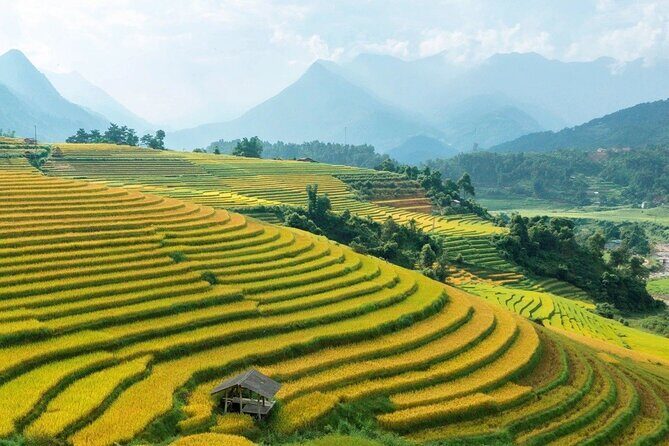 Half Day Sapa Cat Cat Explore Waterfall, Workshop, H'mong Local - Final Thoughts