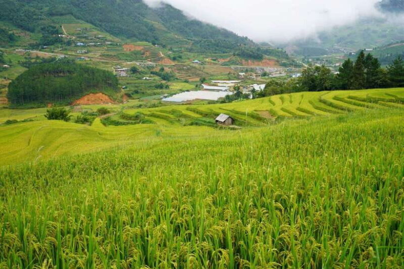 Half Day Sapa Trekking to Visit Lao Chai - Ta Van - Final Thoughts: Is This Tour Right for You?