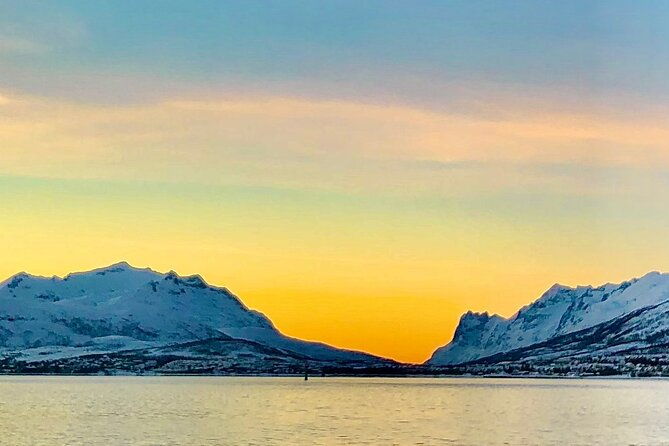 half-day-scenic-wildlife-photographic-fjord-tour
