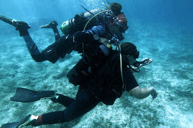half-day-scuba-diving-discovery
