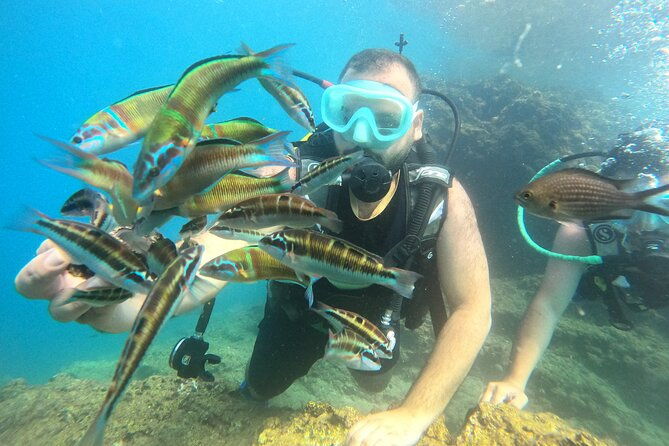 half-day-scuba-diving-duden-waterfalls