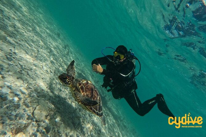 half-day-scuba-diving-tour-discover-scuba-diving