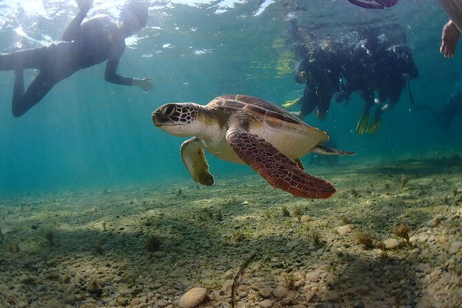 half-day-scuba-diving-tour-discover-scuba-diving