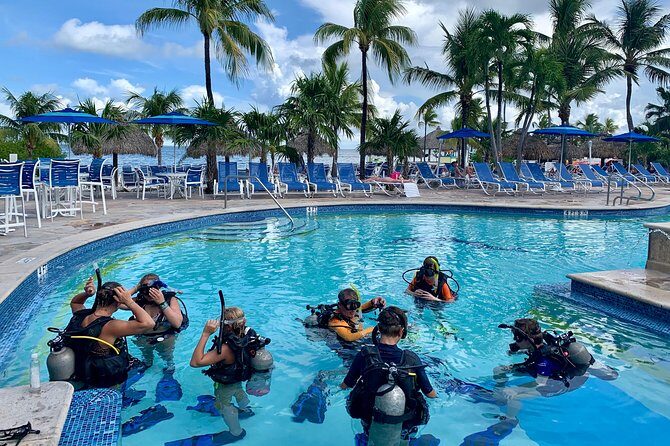 Half Day Scuba Diving Trip in the Florida Keys - The Group Size and Atmosphere
