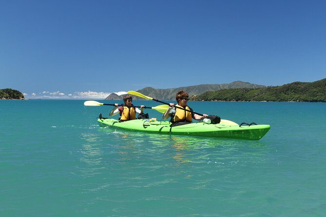 Half day Sea Kayak Guided Tour from Picton - The Experience: What to Expect on Your Kayak Adventure